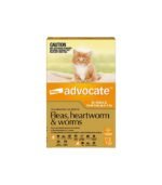 Advocate Orange For Small Cat